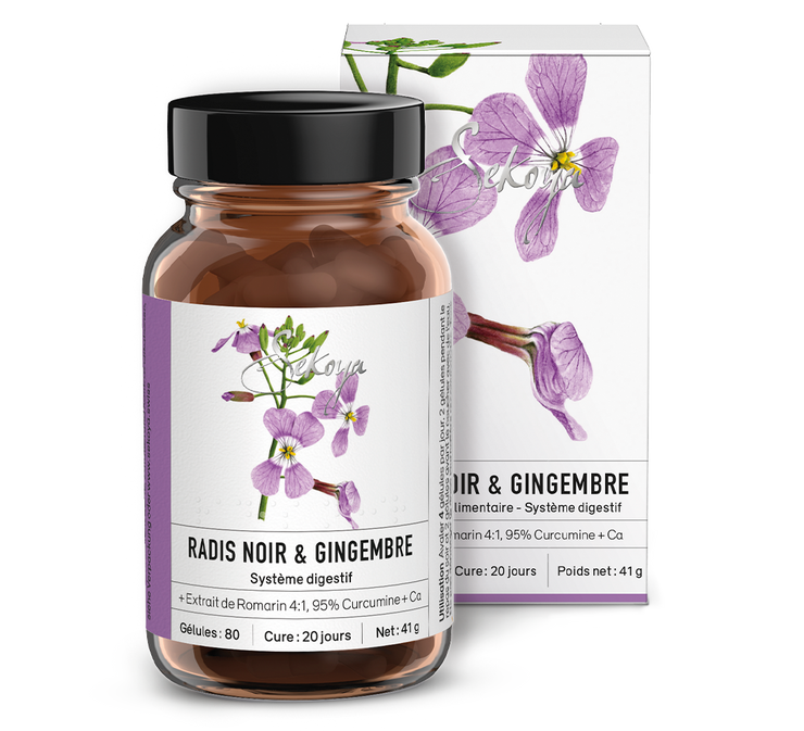 Radis noir & Gingembre